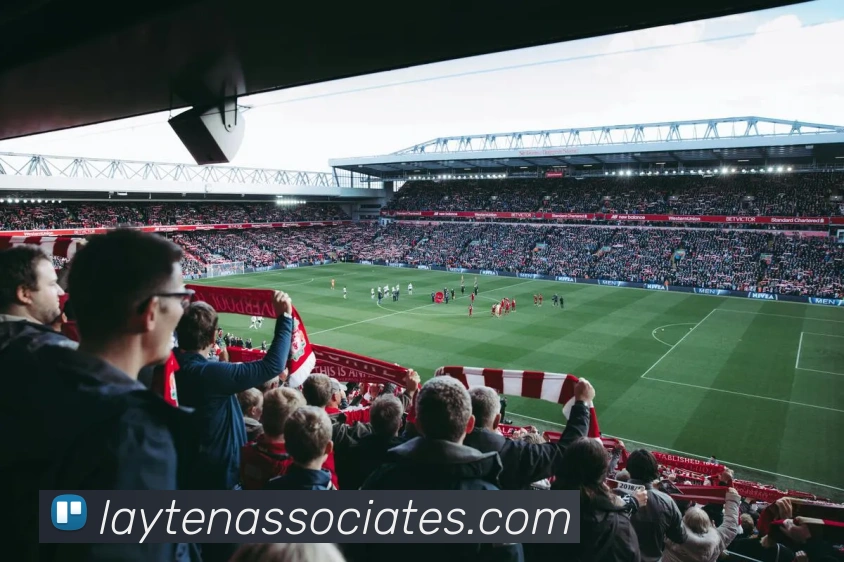 平台展示图